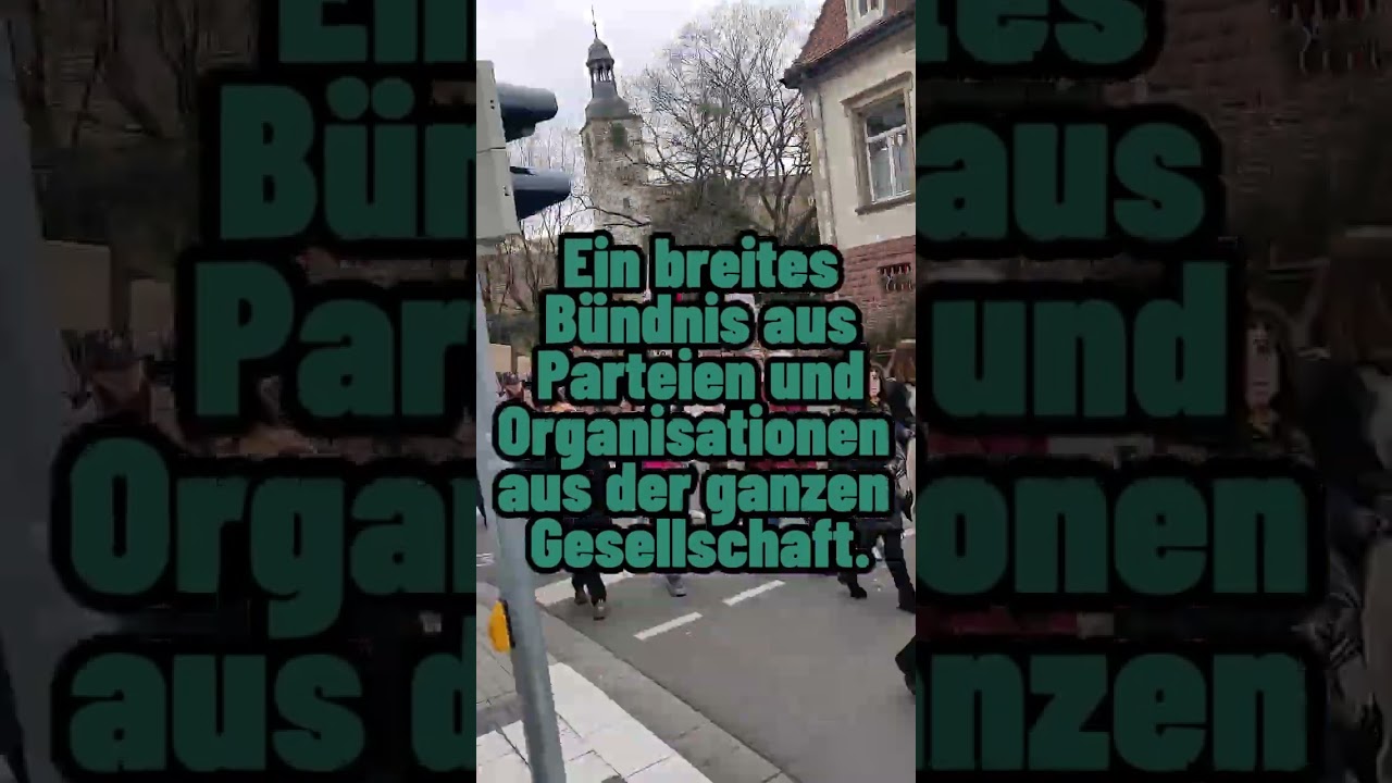 Demo für Demokratie und gegen Rechtsextremismus Februar 2024 in Wiesloch
